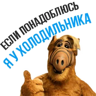 🍳 Alf ЕСЛИ ПОНАДОБЛЮСЬ Я У ХОЛОДИЛЬНИКА Alf, Alien, Dessin animé, Frigo, Drôle, Télévision, Série TV telegram sticker