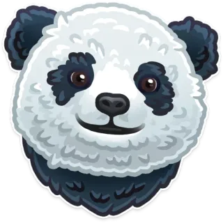🐼 판다, 동물, 귀여운, 스티커, 포유류, 야생 동물 telegram sticker