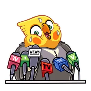 😅 NEWS pássaro, calopsita, notícias, conferência de imprensa, microfone telegram sticker