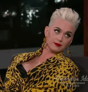 ✨ Katy Perry American Idol 凯蒂·佩里, 美国偶像, 歌手, 评委, 名人, 电视 whatsapp sticker
