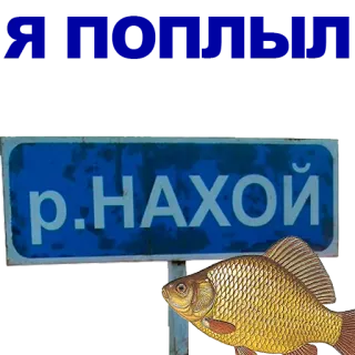 🐠 р.НАХОЙ rivière, poisson, panneau, offensant, insulte whatsapp sticker