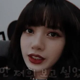 🎞 안 저희 보고 싶었 coreano, mulher, selfie, rosto, pessoa, cabelo telegram sticker