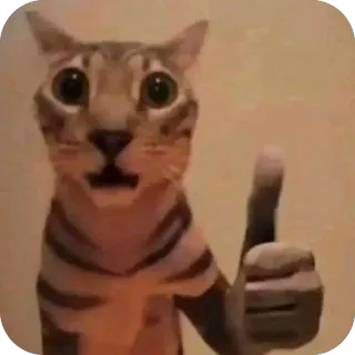 🫥 cat, thumbs up, animal, meme, funny telegram sticker