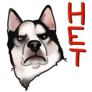 🙅 HET cane, adesivo, husky, animale telegram sticker