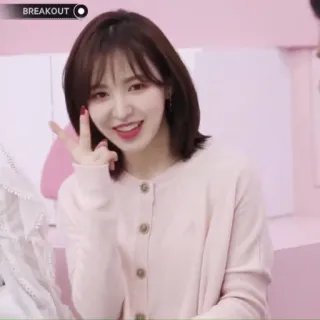 🍋 Wendy BREAKOUT kpop, musica, celebrità, asiatica, ritratto, donna, cantante whatsapp sticker