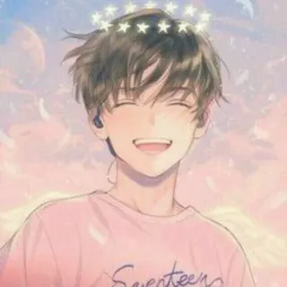 😄 Seventeen kpop, ragazzo, anime, stelle, felice, carino, rosa telegram sticker