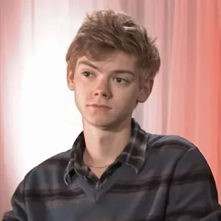 👤 Thomas Brodie-Sangster acteur, portrait, célébrité, jeune adulte telegram sticker