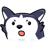 😮 chó, husky, sốc, ngạc nhiên, dễ thương, biểu tượng cảm xúc, nhãn dán telegram sticker