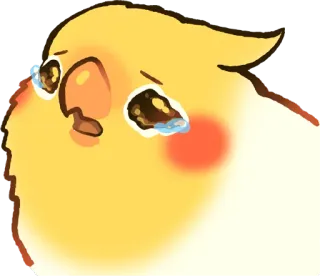 😢 鳥, オカメインコ, かわいい, 泣く, 悲しい, 涙, 黄色 telegram sticker