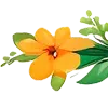 🌼