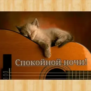 🔆 Спокойной ночи! kucing, anak kucing, gitar, tidur, selamat malam telegram sticker