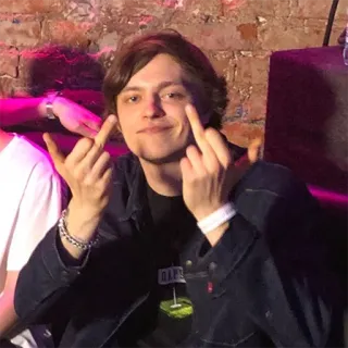 🖕 jari tengah, gestur, ofensif, orang, potret telegram sticker