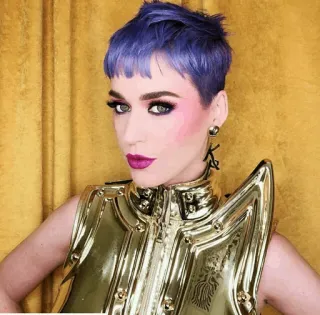 ✨ Katy Perry 流行明星, 歌手, 紫色头发, 名人, 盔甲 whatsapp sticker