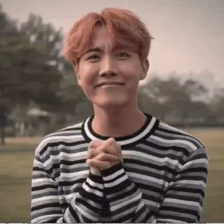 🖤 J-Hope J-Hope, BTS, K-Pop, cantante, idolo, coreano, musica, artista telegram sticker