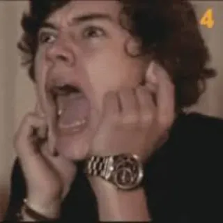 🙉 Harry Styles harry styles, celebrity, singer, pop star, shocked, scream telegram sticker