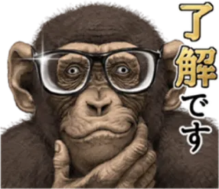 🐵 了解です monyet, kacamata, berpikir, pengertian, Jepang, teks, emotikon telegram sticker