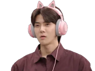 😯 kpop, exo, sehun, headphones, cat ears, music telegram sticker