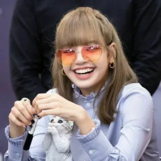 🌼 Lisa Lisa, Blackpink, K-Pop, Chanteuse, Idole, Lunettes coeur, Chat whatsapp sticker
