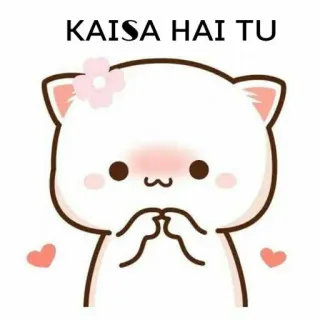 😋 KAISA HAI TU 고양이, 귀여운, 하트, 인사 telegram sticker