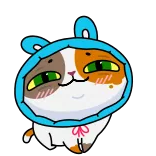 🐰 고양이, 스티커, 만화, 동물, 귀여운 whatsapp sticker