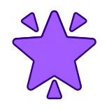 🌟