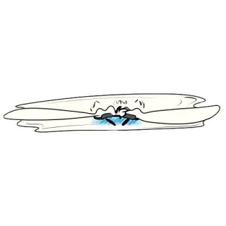 😵 telegram sticker