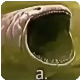 Больше стиков тут: @stikery4 whatsapp stickers