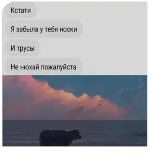 🫥 Кстати Я забыла у тебя носки И трусы Не нюхай пожалуйста telegram sticker