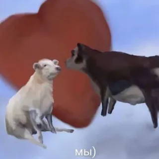 ❤ Мы) vaches, amour, coeur, animaux, mignon, ciel, russe telegram sticker