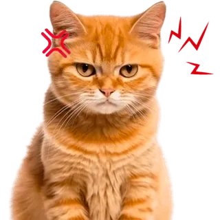 😤 gato, bravo, vermelho, animal, felino, animal de estimação, gato ruivo telegram sticker