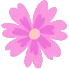 🌸