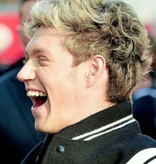 😂 Niall Horan Niall Horan, cantante, músico, celebridad telegram sticker