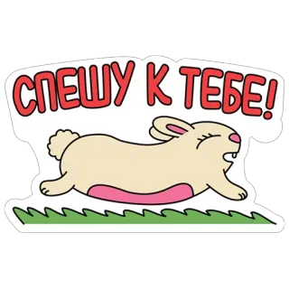 🏃 СПЕШУ К ТЕБЕ! rabbit, hurry, grass, running, animal whatsapp sticker