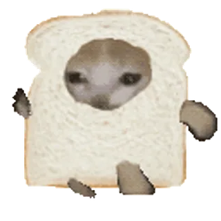 🍞 Тост, Кот, Хлеб, Грустный, Мем, Смешной telegram sticker