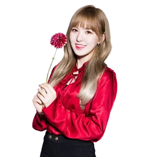 🌸 donna, fiore, persona, sorridente, blusa rossa, K-Pop, Wendy telegram sticker