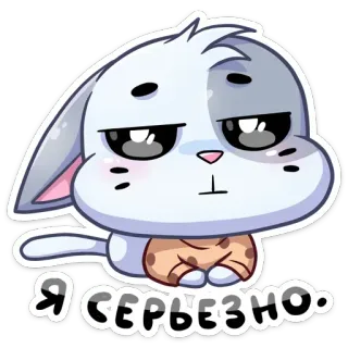 😐 Я СЕРЬЕЗНО. cute, rabbit, animal, serious, cartoon, sticker telegram sticker