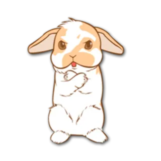😠 怒り, ウサギ, バニー, 可愛い, アニメ telegram sticker