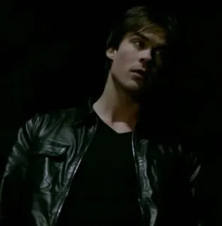 🌚 Damon Salvatore The Vampire Diaries vampire, TV show, actor, leather jacket, portrait telegram sticker