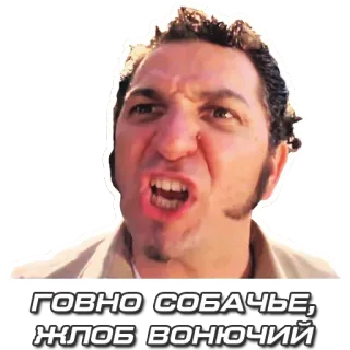 🙊 ГОВНО СОБАЧЬЕ, ЖЛОБ ВОНЮЧИЙ enfadado, ofensivo, insulto, ruso, palabrota telegram sticker