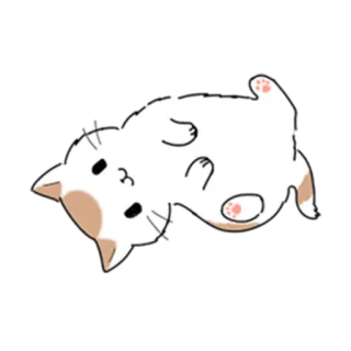 🙃 gatto, carino, animale, gattino, animale domestico telegram sticker