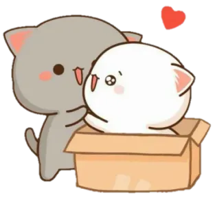 😍 gato, gatito, lindo, caja, dibujos animados telegram sticker