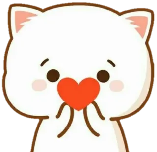 ❤️ lindo, gato, corazón, amor, animal telegram sticker