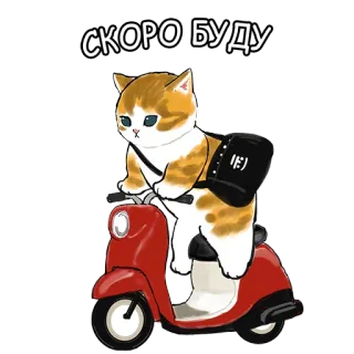 Котики mofu_sand telegram stickers