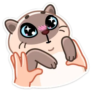 🤩 кот, милый, питомец, животное, каваий, наклейка telegram sticker