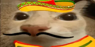 🇲🇽 Katze, Sombrero, Schnurrbart, Mexikanisch, Tier, Haustier telegram sticker