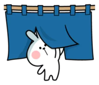 👀 conejo, dibujos animados, lindo, animal, espiando, cortina telegram sticker