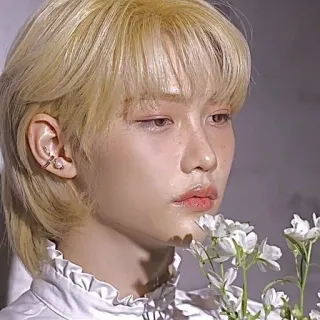 🌟 Felix kpop, stray kids, idol, flower, portrait telegram sticker