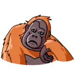 🤨 orangutan, kera, hewan, sedih, bosan, monyet whatsapp sticker