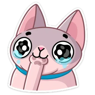 😢 cat, sticker, cute, animal, crying, kawaii, sphynx telegram sticker