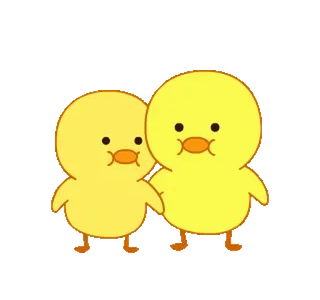 🐥 galinhas, fofo, amarelo, pássaros, animais telegram sticker